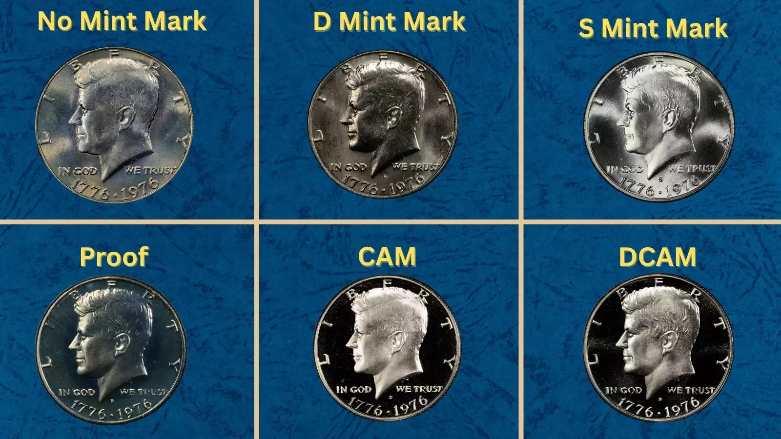 1976 Bicentennial Kennedy half dollar variety display showing all five major types including silver and clad proof specimens